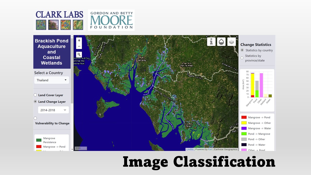 coastal habitat mapping